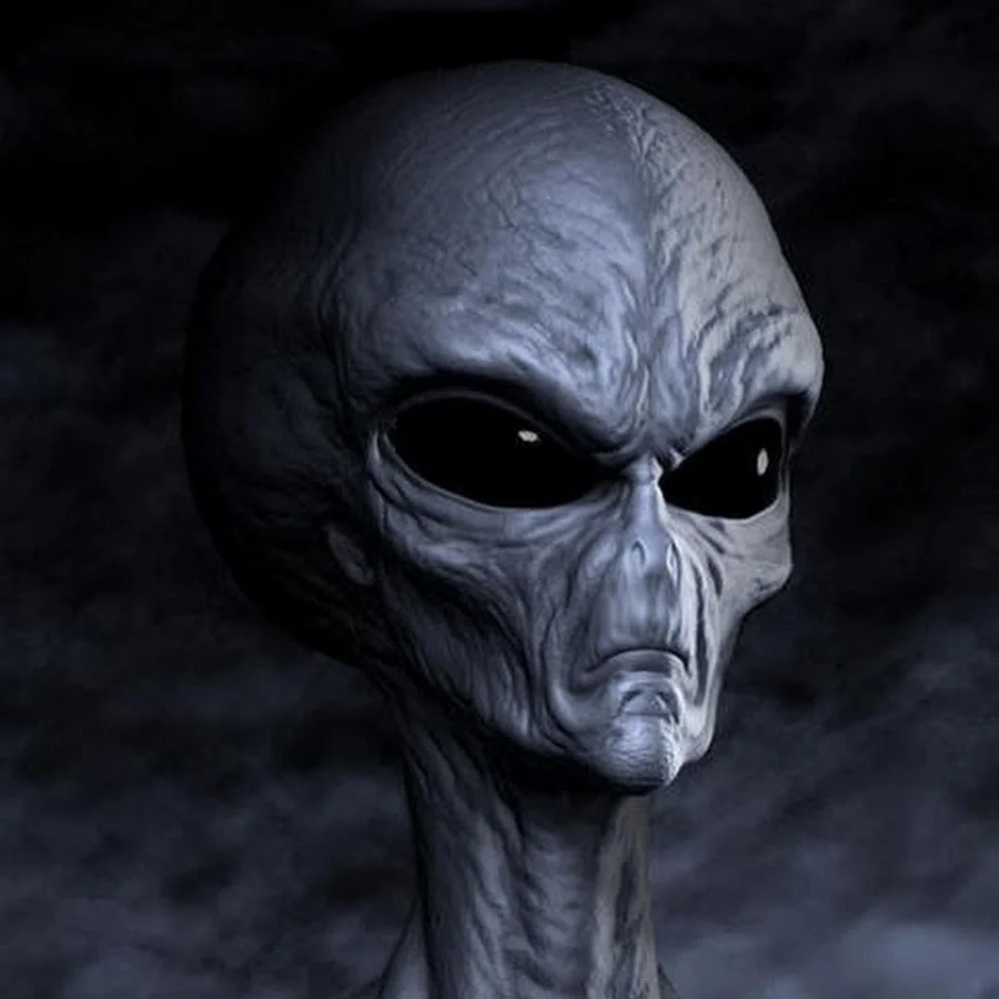 серые инопланетяне