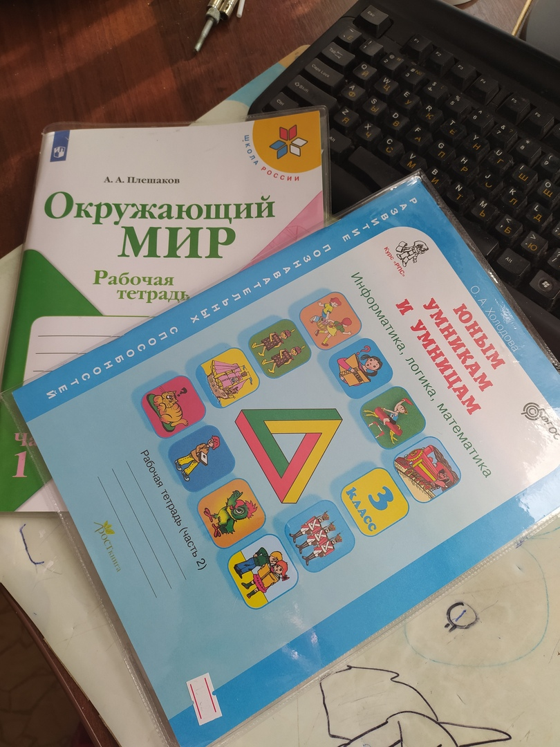 Рабочие тетради в школе - нужны или пустая трата денег родителей. |  Секретарь в отставке | Дзен