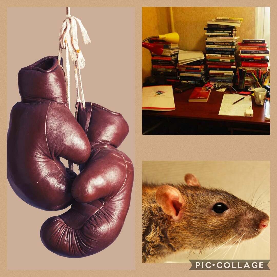 Коллаж: Елизавета Летучева