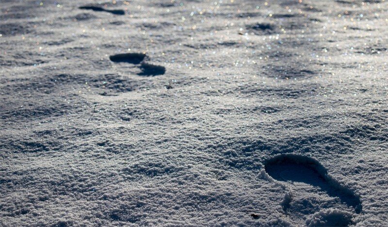 История исчезновения Оливера Ларча, во многом схожа со случаем пропажи Дэвида Лэнга (3-й пункт в списке). В один зимний день, Ларч вышел во двор, чтобы набрать воды из колодца и растворился в воздухе. После него осталась только вереница следов на снегу, которая резко обрывалась на полпути. Это произошла в конце XIX века в Индиане, по другим источникам упоминается Северный Уэльс. Существует ещё один случай, где фигурирует Оливер Томас из Радноршира (графство Уэльса), пропавший в 1909 году.Исчезновение Оливера Ларча
