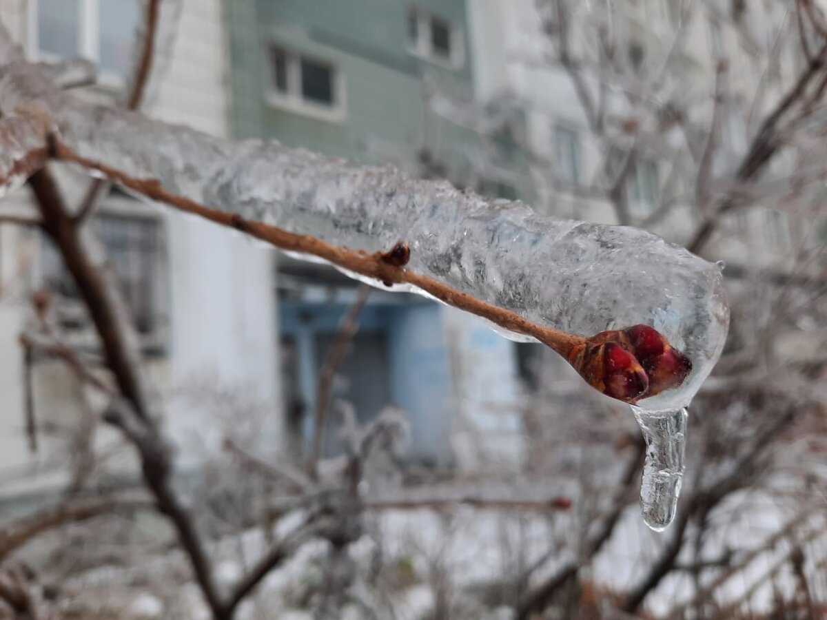 Владивосток, 19.11.2020