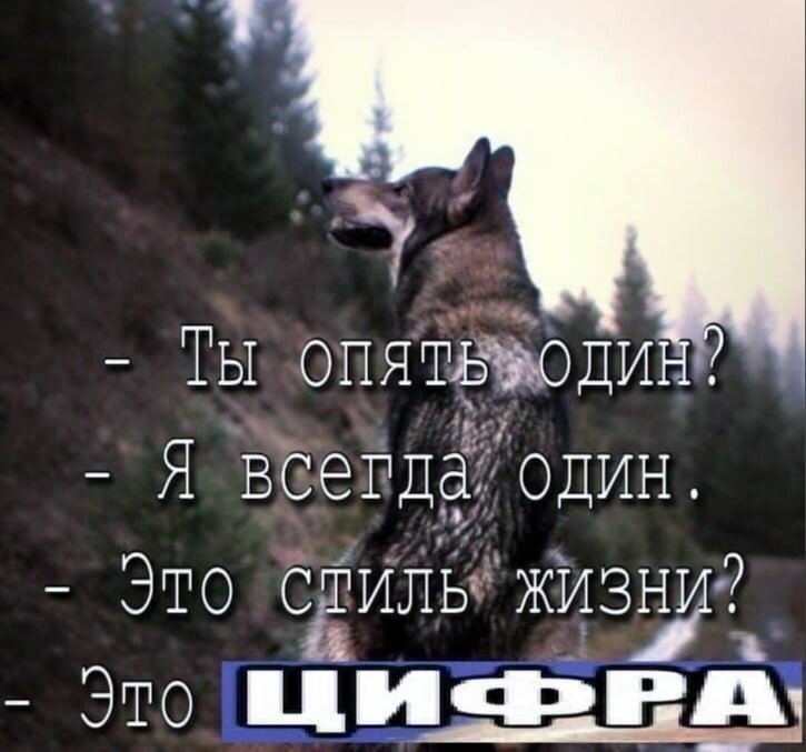 Цитаты оффницы