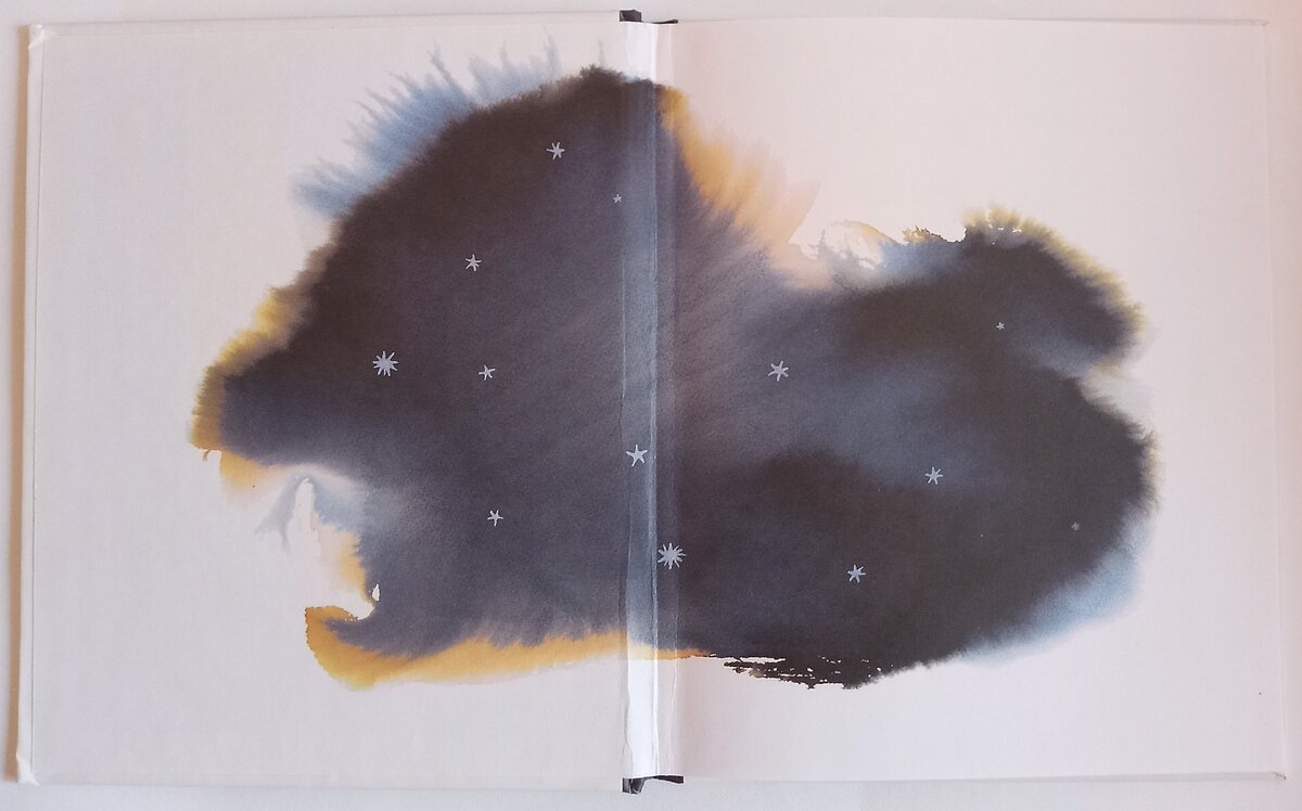 Художник Стина Вирсен