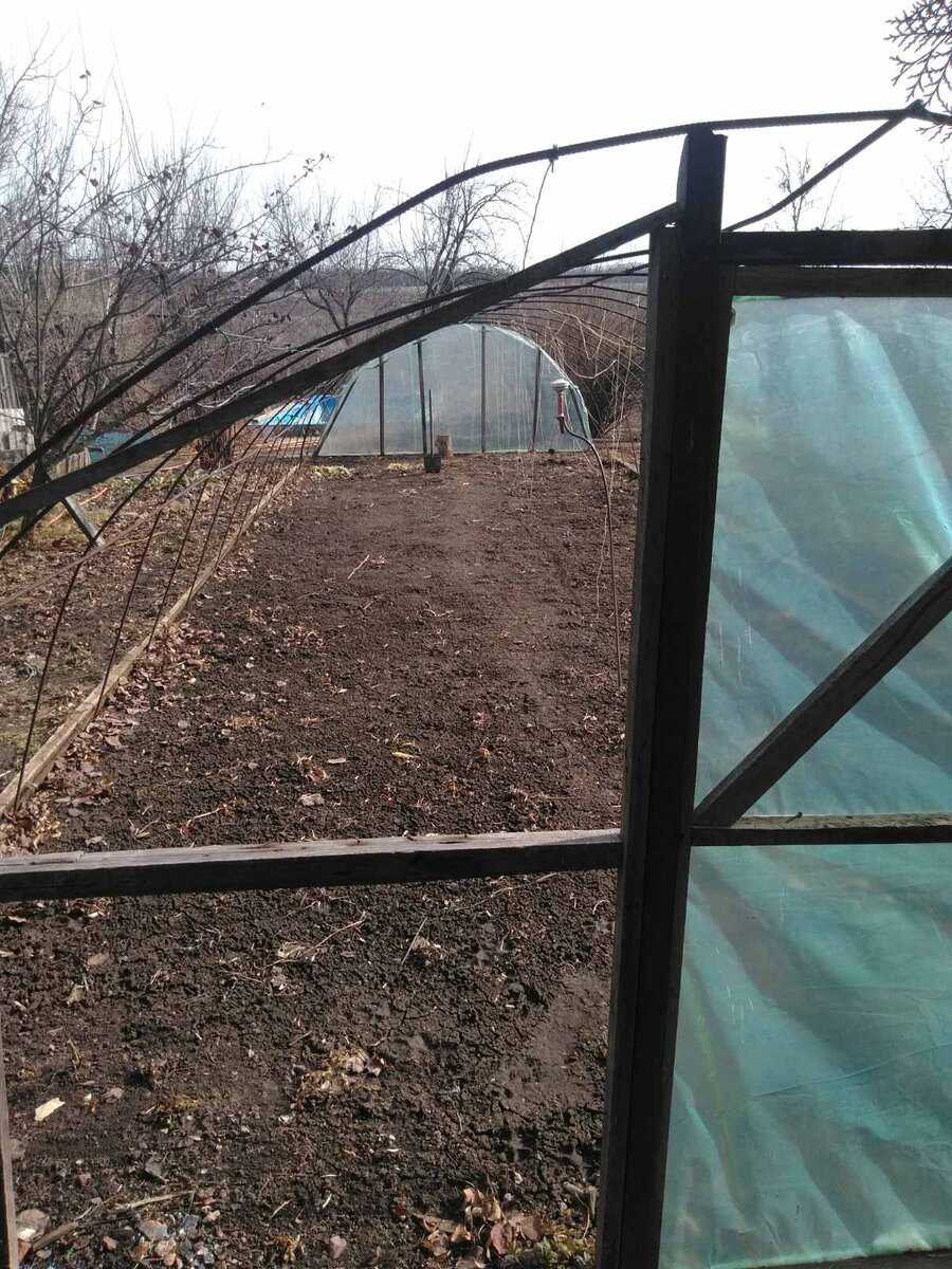 Натянуть пленку на теплицу много времени не занимает, вот в этом году за один день управились. 