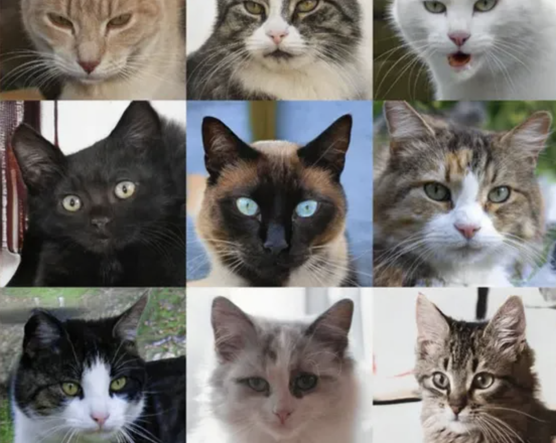 А выглядят как настоящие...