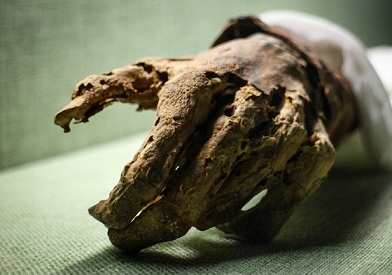 Фото из открытых источников