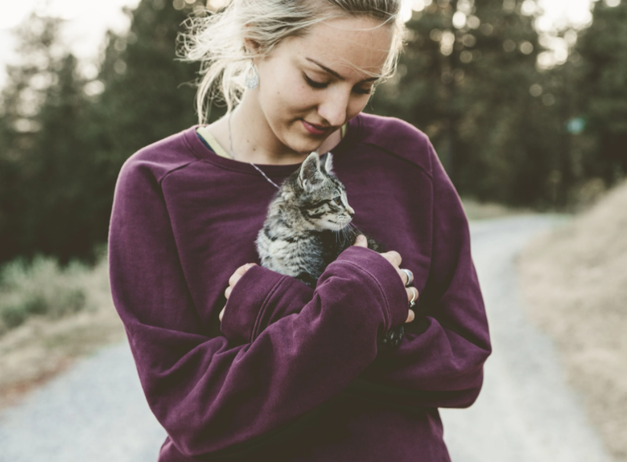источник изображения https://www.pexels.com/