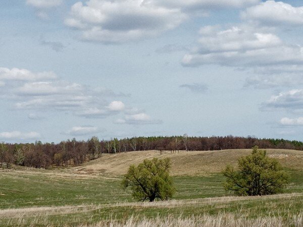 Личный архив.