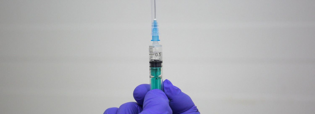 Фото: nsknews.info