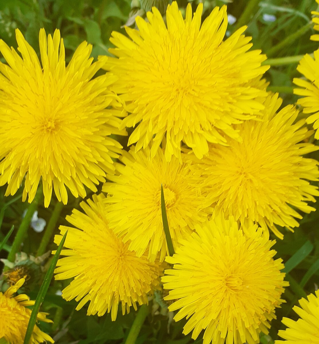 "Жизнь такова, какова она есть, и больше не какова..."