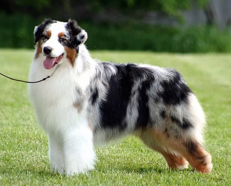 фото взято на сайте https://clck.ru/VQssB