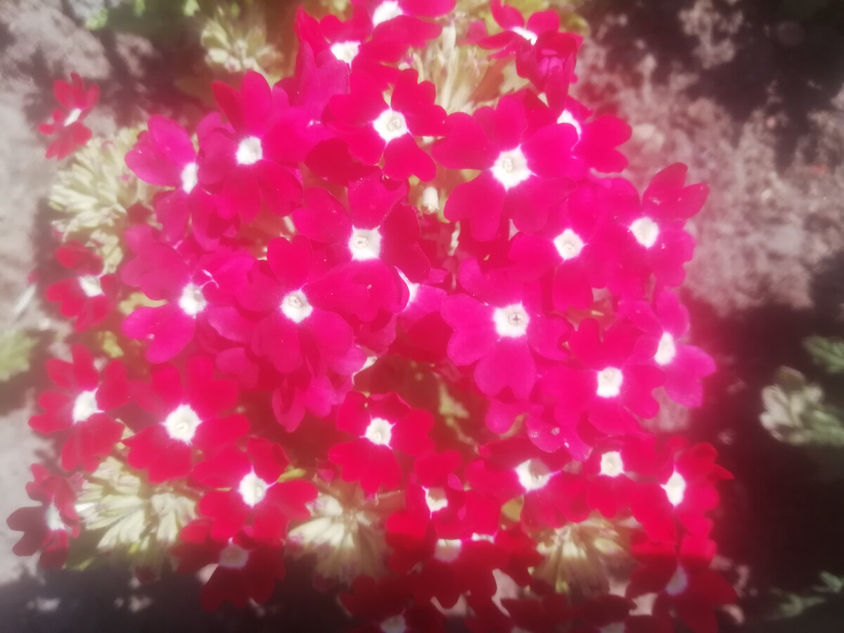 Всем читателям хорошего дня!