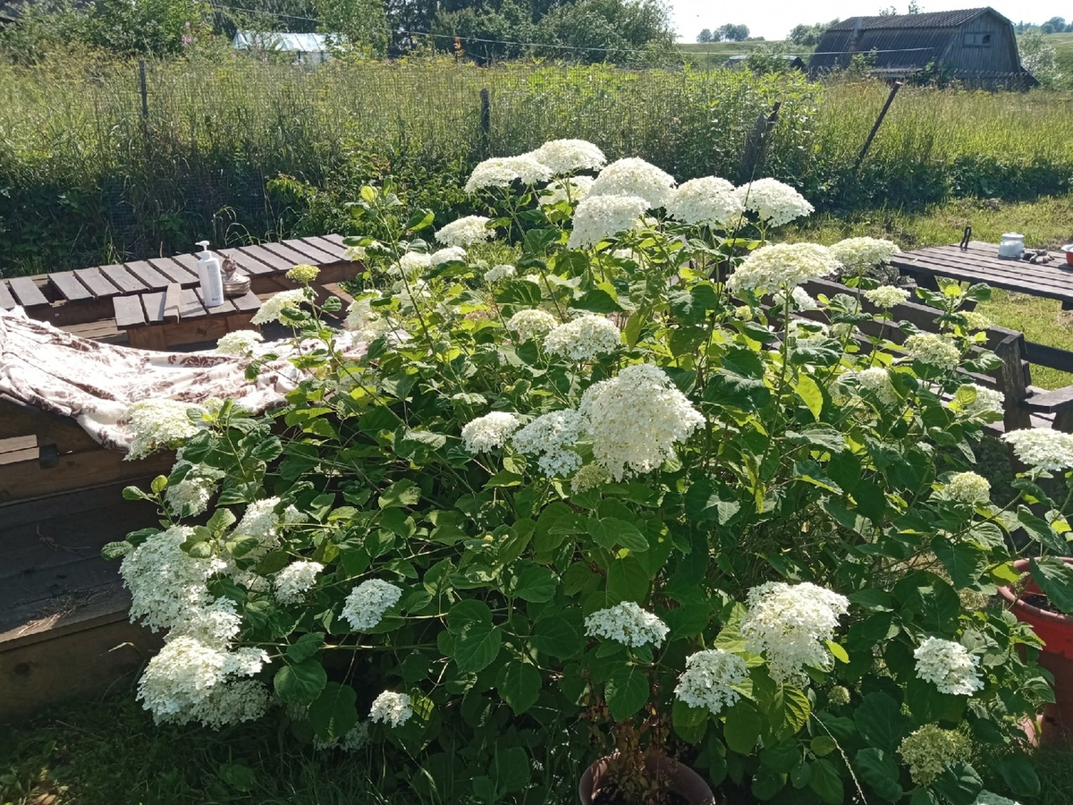 Мой уголок для загара.