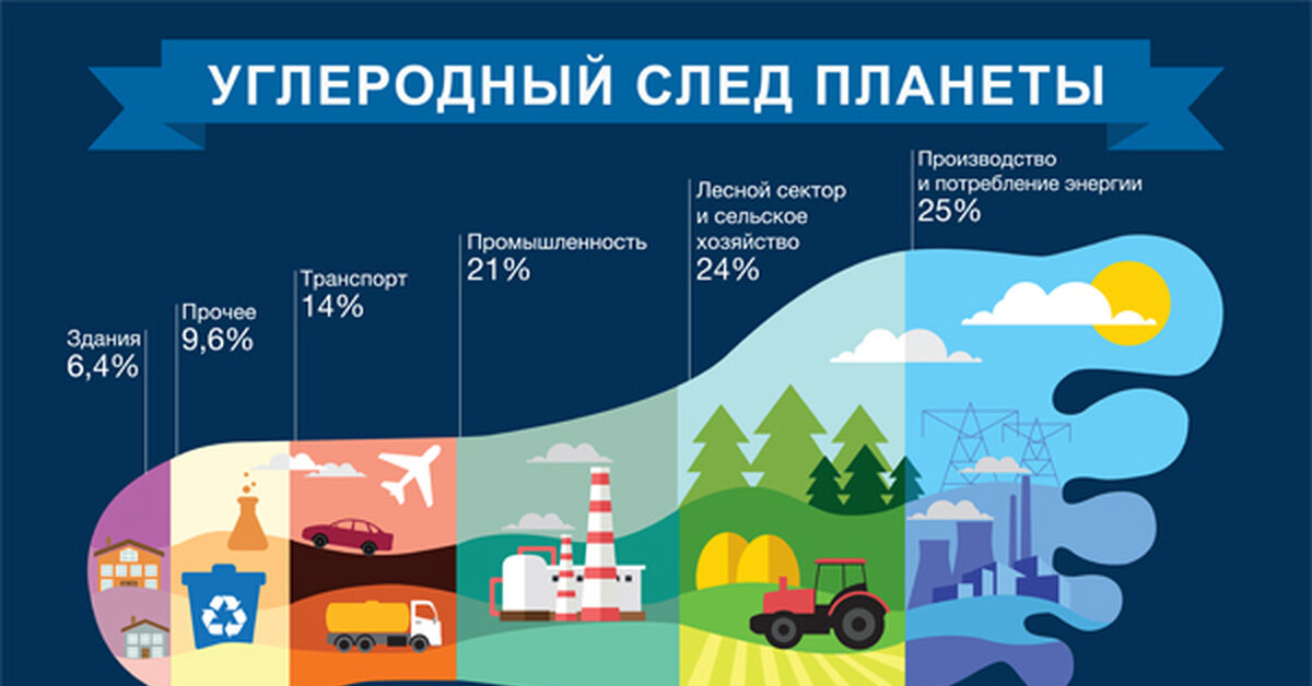 Экологический проект экологический след