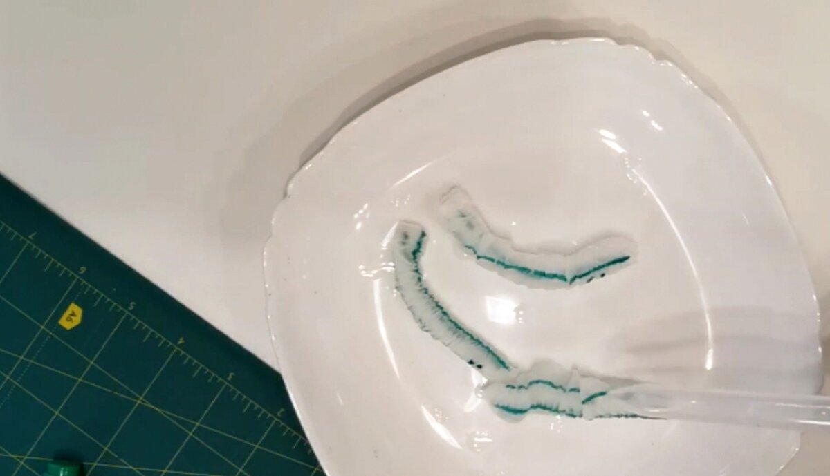 Волшебные червяки, готовы