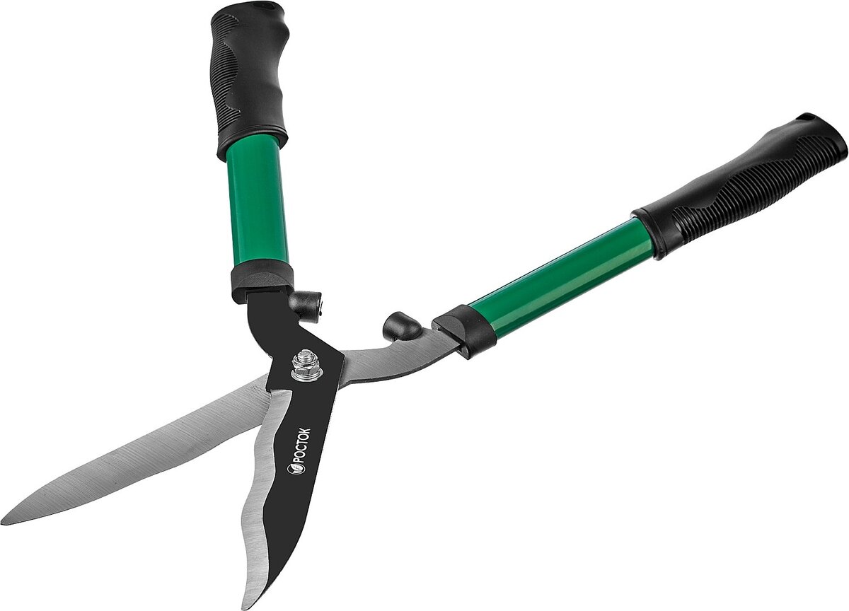                                      Фото из Яндекс Картинки