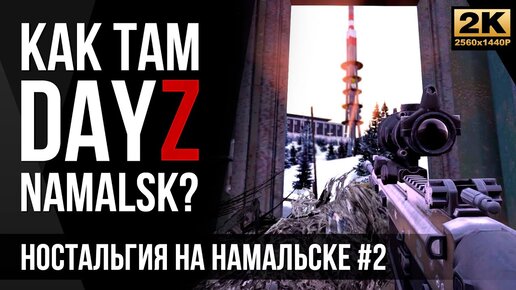 Download Video: №2 Преследователи • DayZ Namalsk [2K]