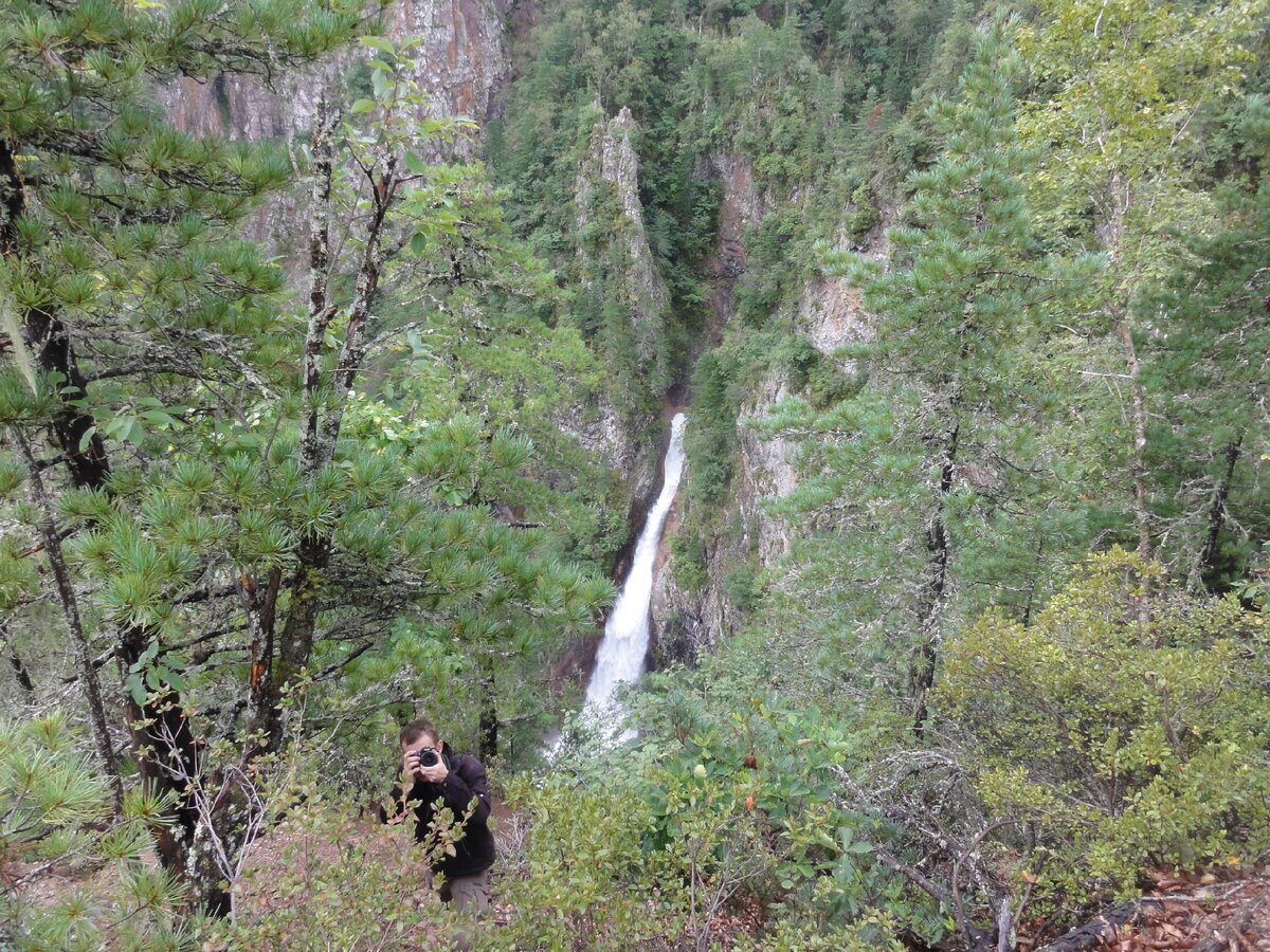 пни п водопадный фото