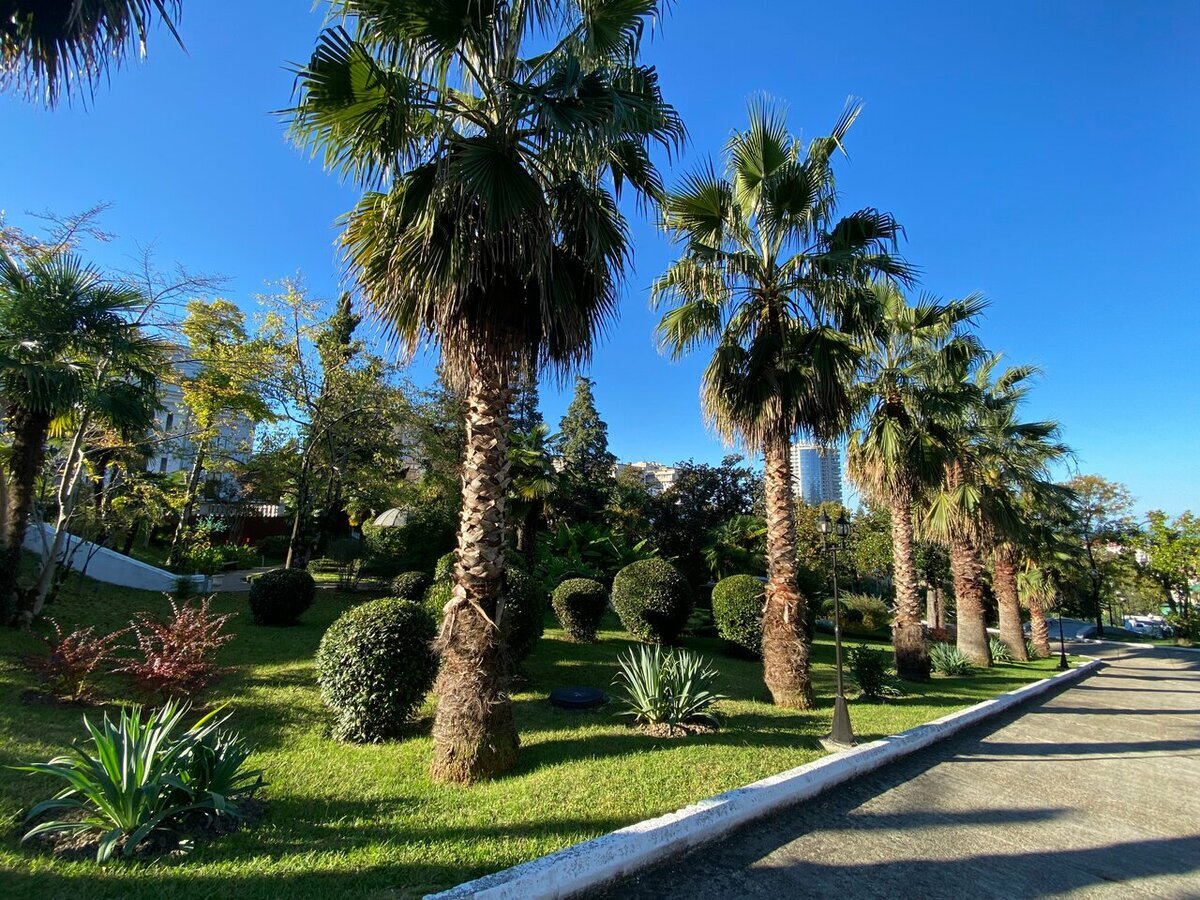 Зеленая зона у санатория "Радуга". Фото: yandex.ru/maps Victor