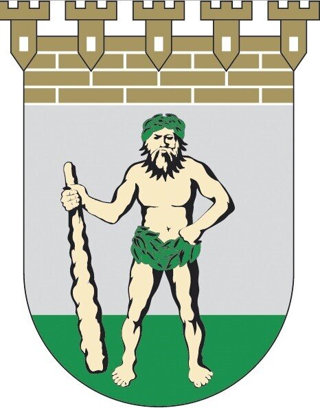 Татуировку "сержант Сара" и гугл-нокию в руку - вот ваш новый герб