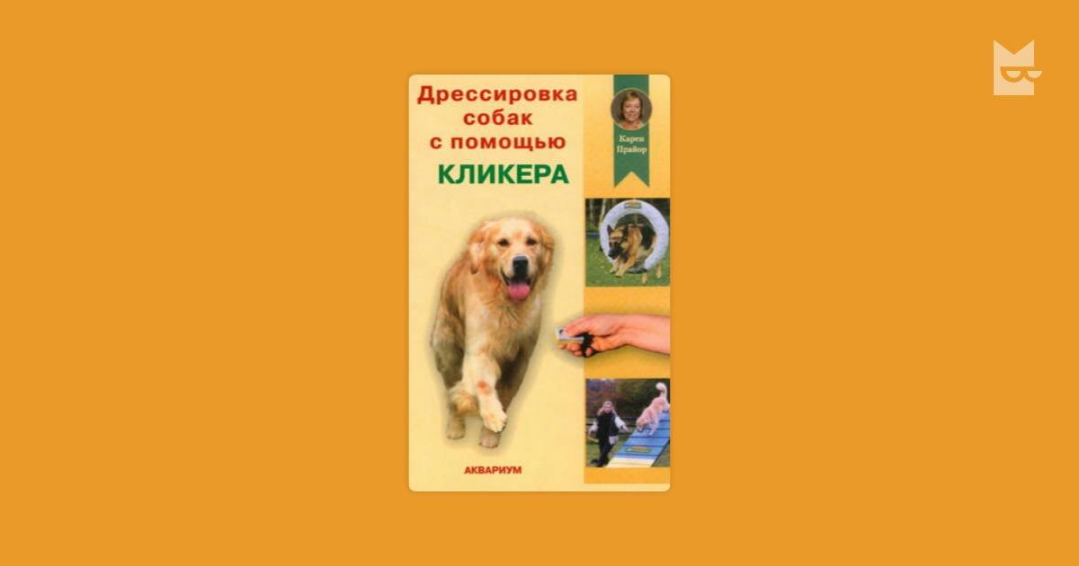 Суперсервис для заботливых хозяев мой питомец. Карен Прайор дрессировка собак с помощью кликера. Дрессировка собак с помощью кликера. Воспитание щенков для чайников. Механика собак воспитание.