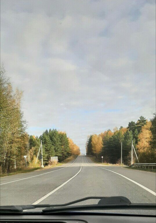Дорога в город