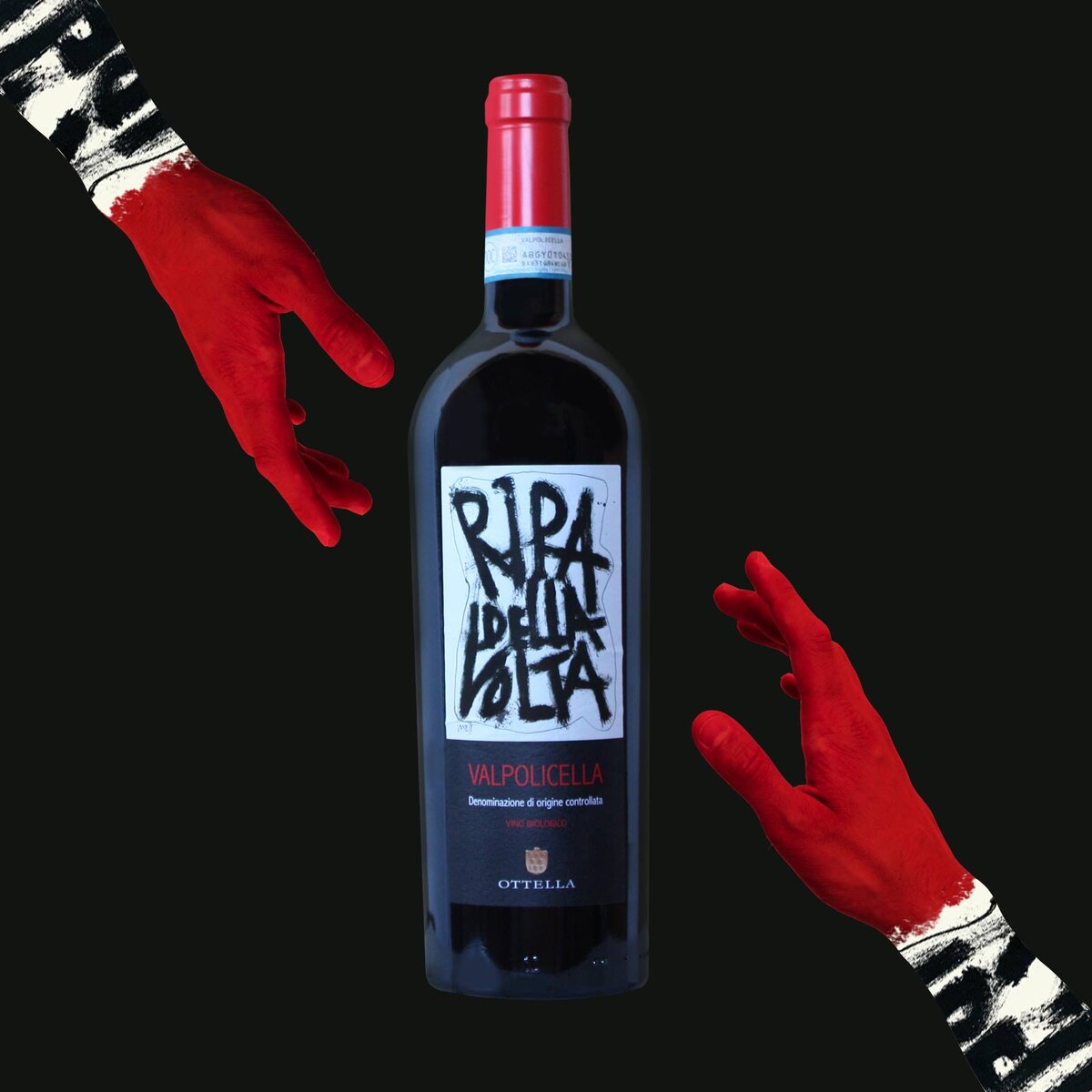 Ottella Ripa della Volta Valpolicella Biologico