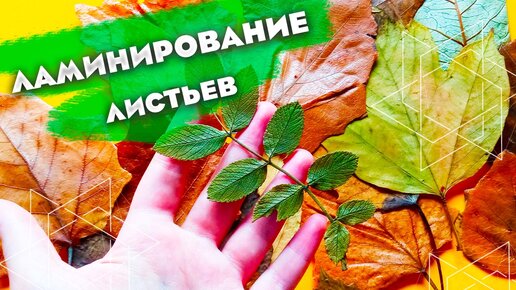 Сохраняя осень: поделки из листьев | Журнал для настоящих пап 