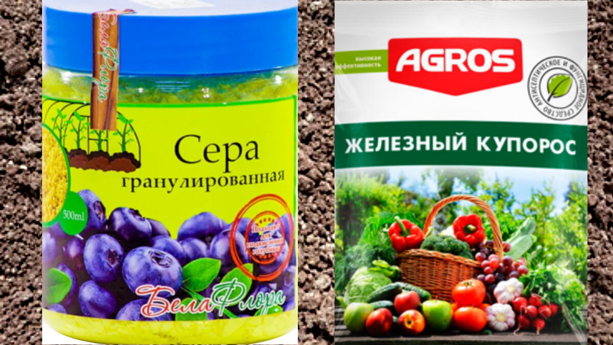 Сделать это можно, внося в почву  серу или сульфат железа.