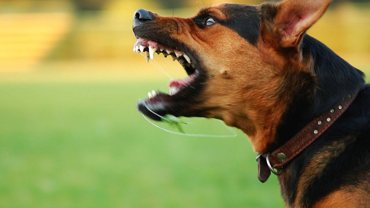 Фото взято с интернета в открытом доступе 