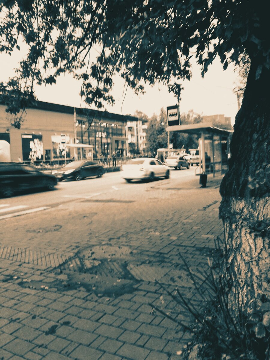 Вот от этой остановки я поехала .