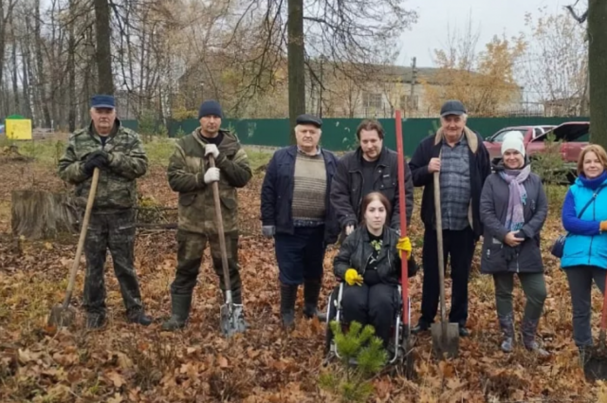    В городском парке Ясногорска высадили молодые саженцы сосны