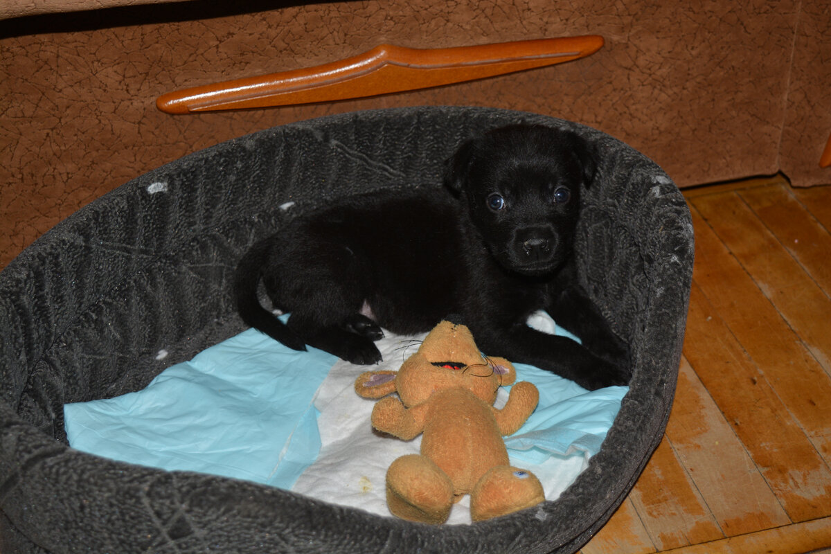 Вот такая кроха