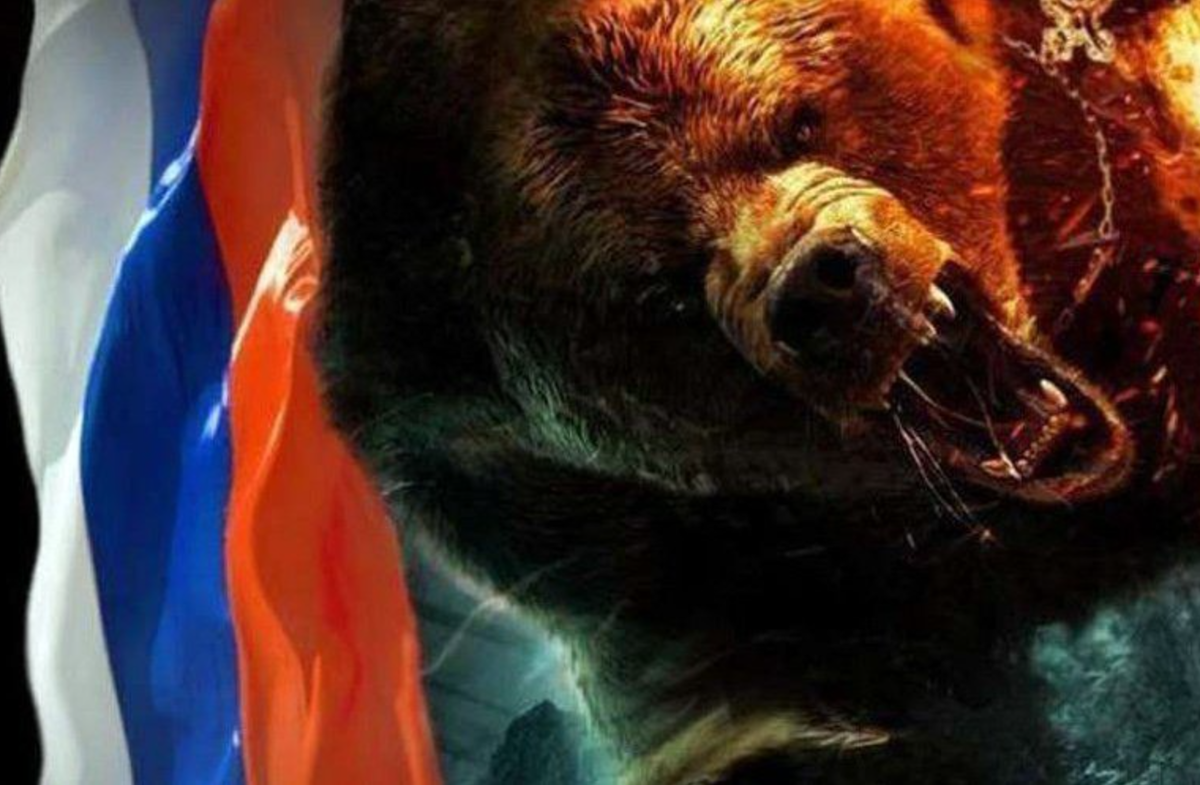 Русская медведь сил. Медведь Россия. Российский флаг с медведем. Медведь с флагом. Медведь на фоне флага.