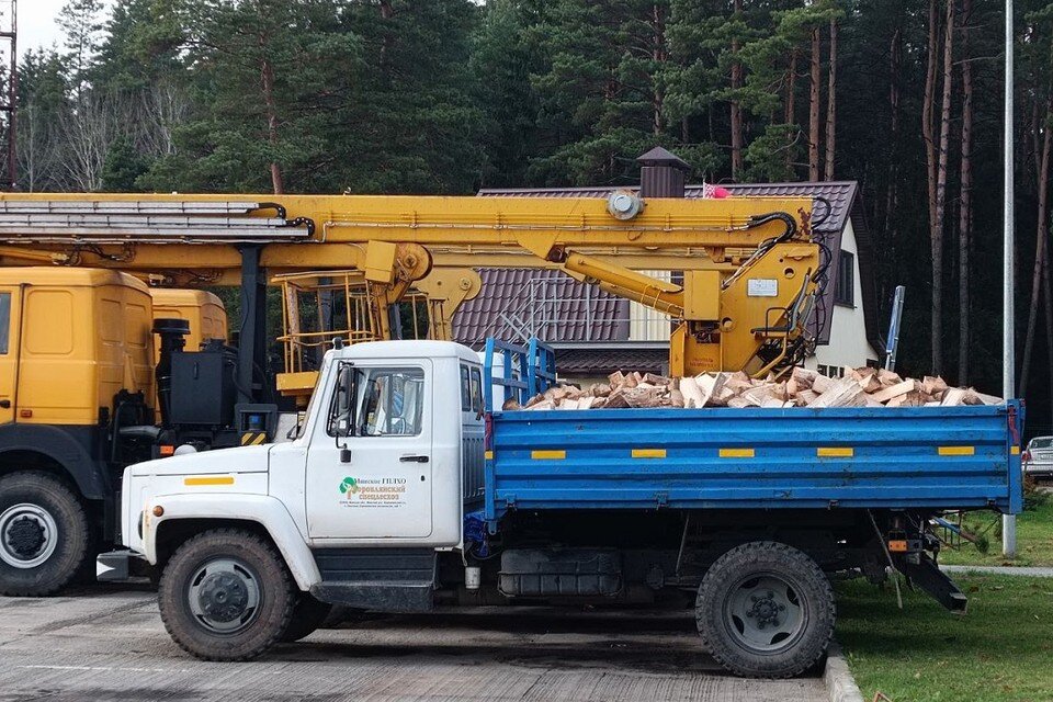     В Минлесхозе сказали, что дрова безвозмездно отдадут 87-летней белоруске. Фото: телеграм-канал Минлесхоза