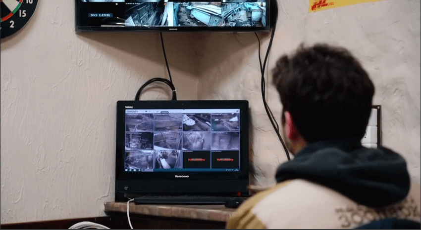    Скриншот видео Московского зоопарка/ТГ-канал