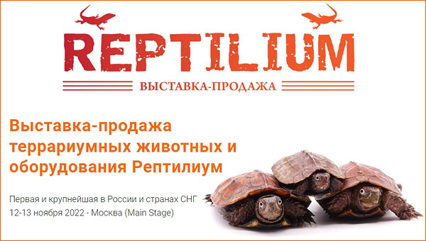 Рептилиум 2024 москва. Выставка Рептилиум. Санкт-Петербурге Рептилиум. Рептилиум 2022. Рептилиум 2023 Москва.