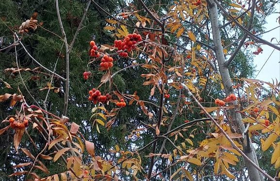 Фото из личного архива