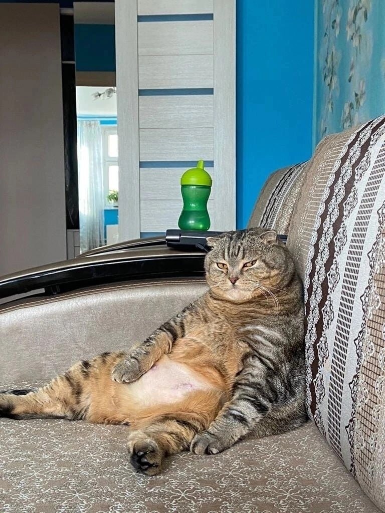 иллюстрация из яндекс картинки.