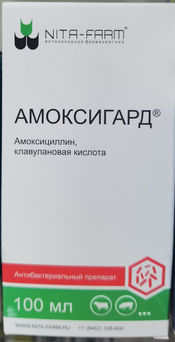 Кладакса 250 инструкция. Амоксигард таблетки для кошек. Амоксигард инъекции. Синулокс Амоксигард. Амоксигард для кошек для чего.