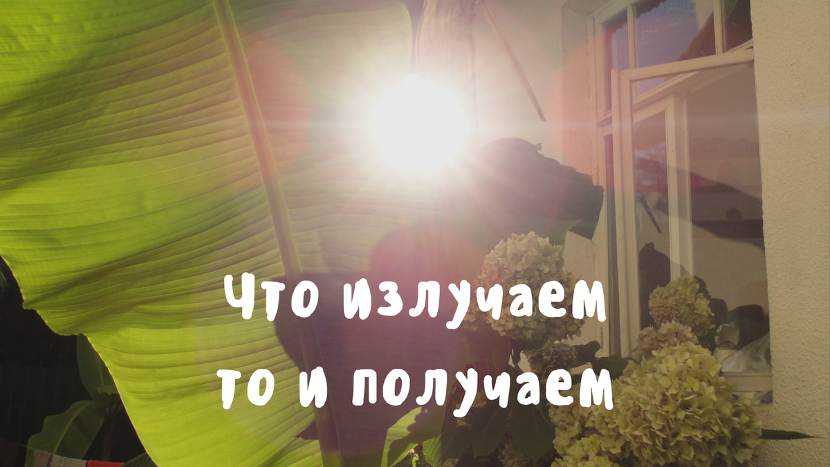 вопрос: что мы хотим получить подсказывает, что нужно давать в мир)