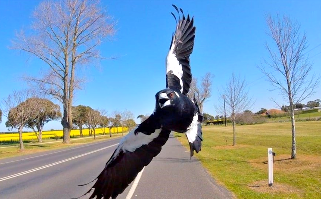 На страже семьи. Фото: upload.wikimedia.org