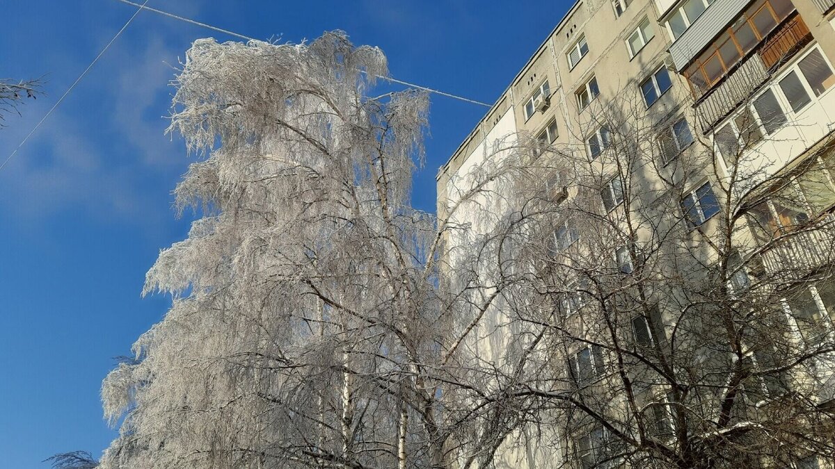     Потепление придет на смену морозам в Нижнем Новгороде ближе к концу текущей недели. Об этом свидетельствуют данные «Яндекс.Карты».