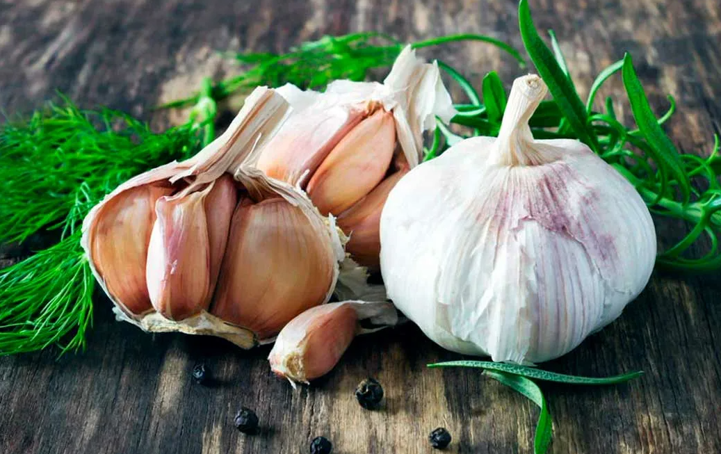 Яндекс картинки