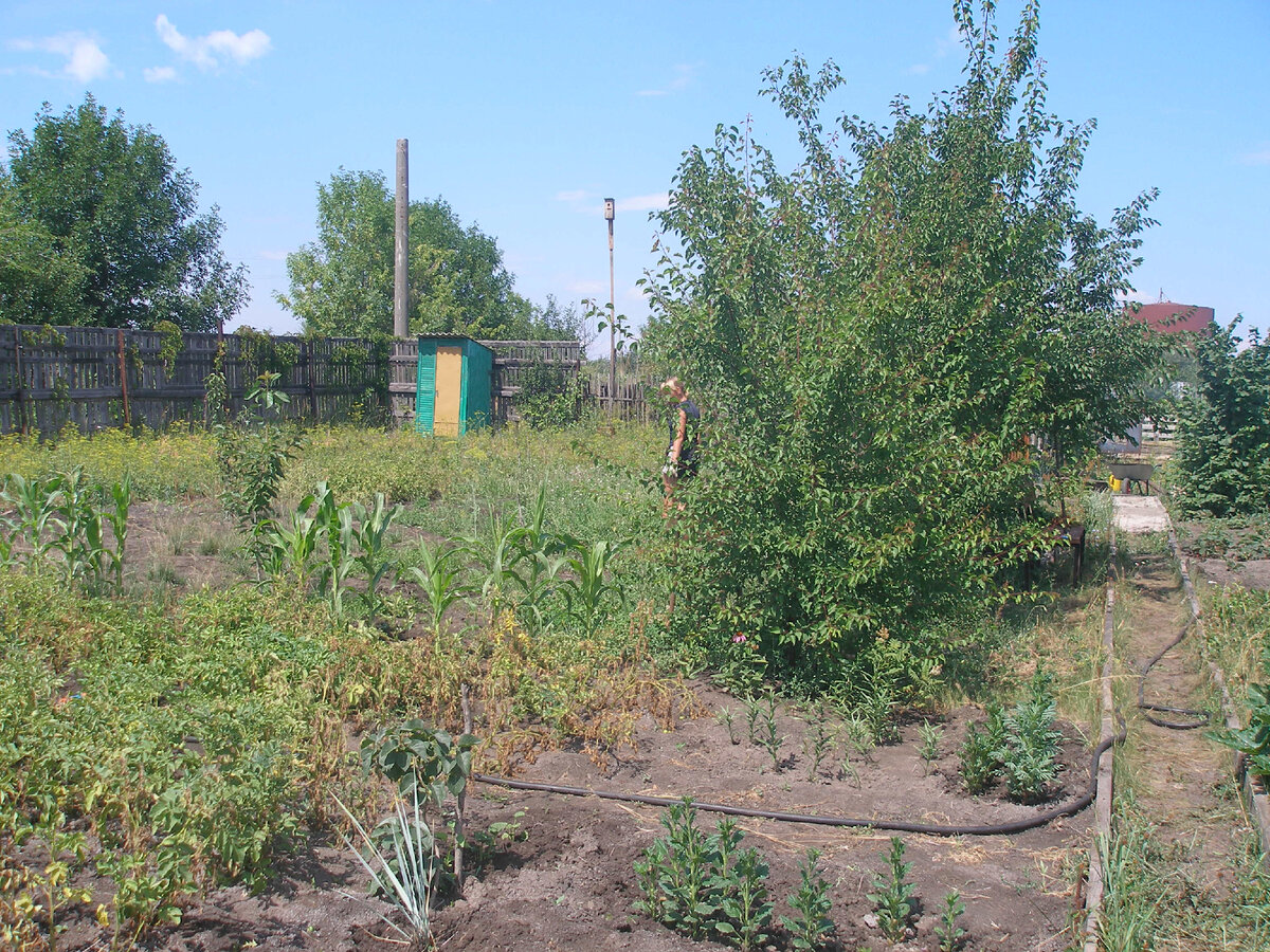 То что было. Таким участок был с 2010 по 2015 годы.