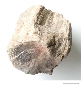 Пришла идея выкладывать фотографии и описания разных камней, которые лично мне иногда и трудно определить из-за отсутствия геологического образования.-50