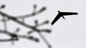    Фото: Минобороны РФ Ирина Мудрых