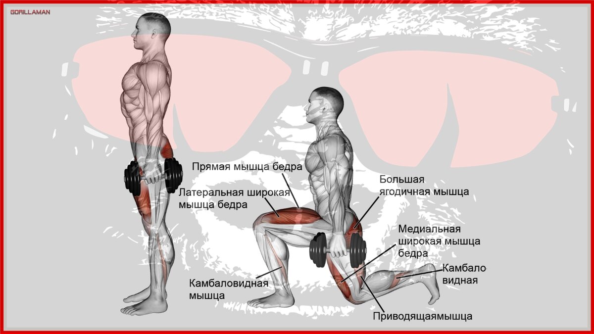 Выпады какие мышцы работают