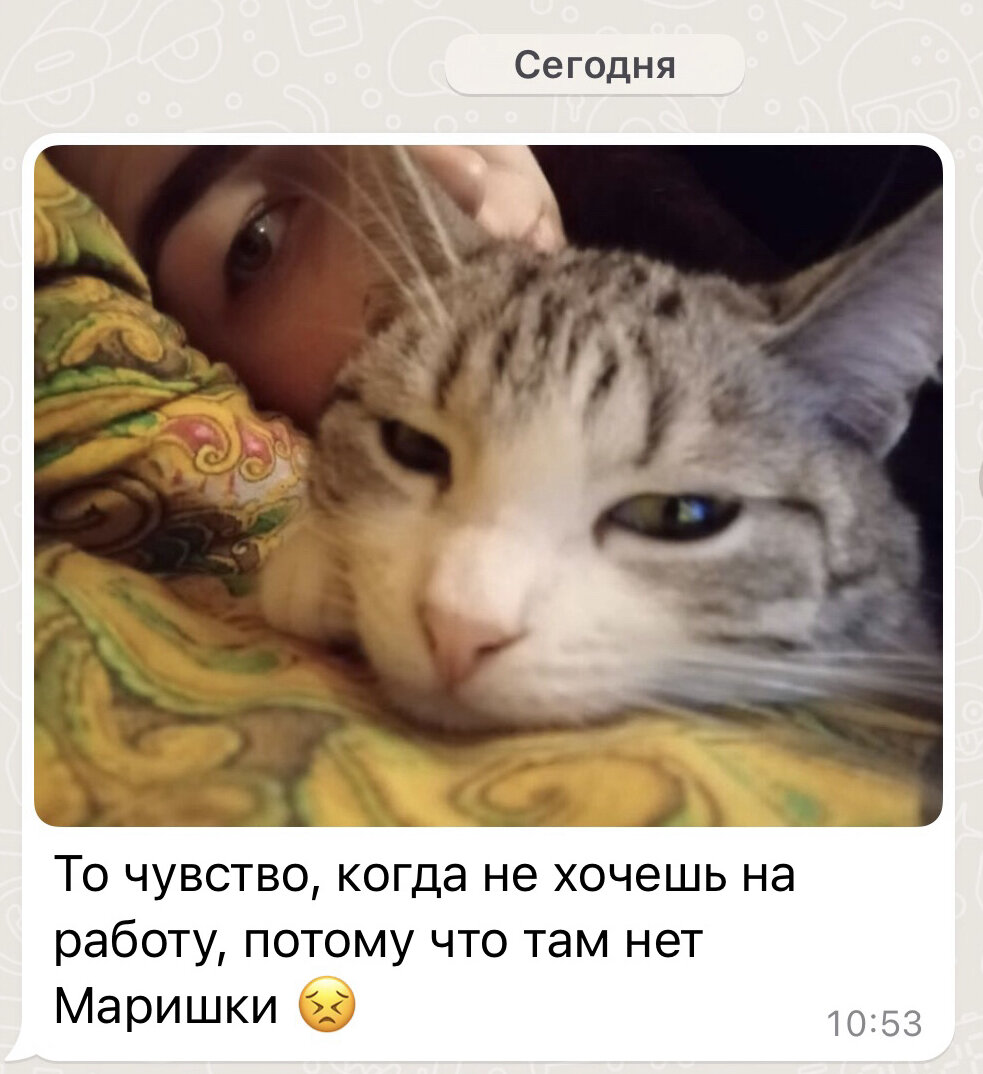 Ну разве не приятно…)