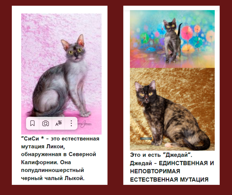 Животные-основатели "оригинальных" линий